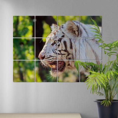 cd214-멀티액자_백호