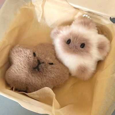 행운 귀여운선물 카피바라 & 별고양이 키링 인형 키링