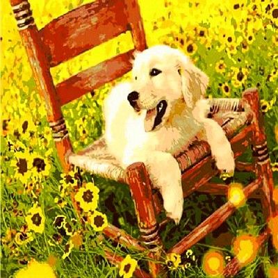 [DIY명화]Q648 낡은의자와강아지 size 50*40cm