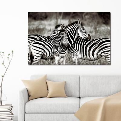캔버스액자 자연 세렝게티 지브라 D타입 35x55cm