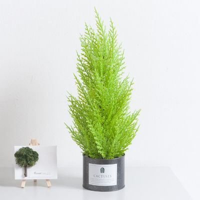 율마 조화 화분 캔 set 38cm 인테리어 식물 테이블