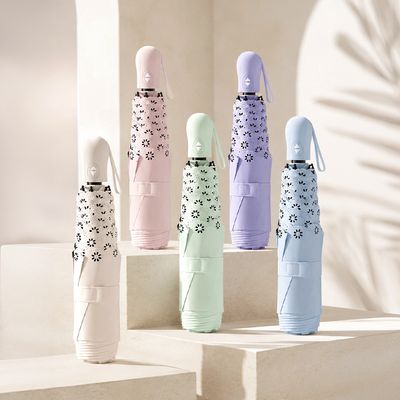 이즐리 레이스컷 6K 3단 자동 양우산(UPF50+)