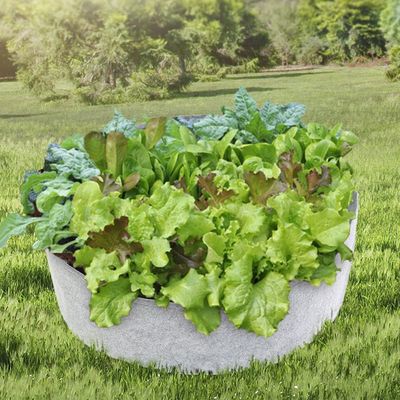 부직포 베란다 화분 상추 텃밭재배 화분(WFLOSK7)