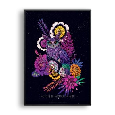 Owl of the night 1 / 일러스트 액자