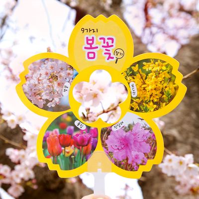 봄꽃 관찰 부채