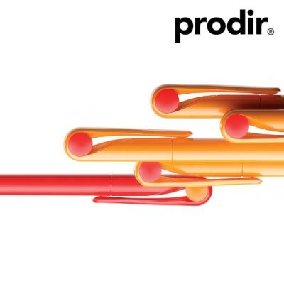 prodir 프로디아 정품 스위스 프리미엄 볼펜 DS1