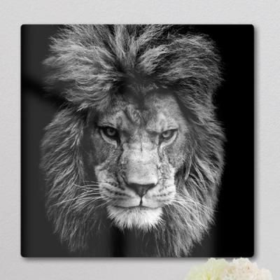 af118-폼아크릴액자38CmX38Cm_사자의카리스마
