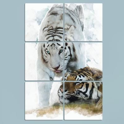 pl641-멀티액자_백호와호랑이