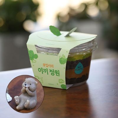 공기정화식물식물키우기 테라리움 미니정원 이끼 화분