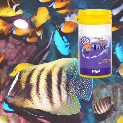 치어용 알테 50g 열대어 미아(WDEE76C)