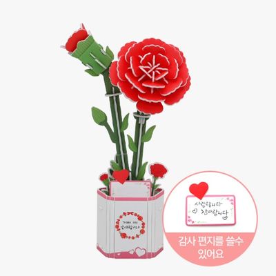 모또 카네이션 만들기 어버이날 스승의날