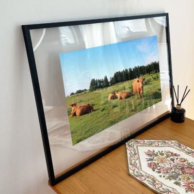 ga263-투명액자78CmX56Cm_들판의황소들