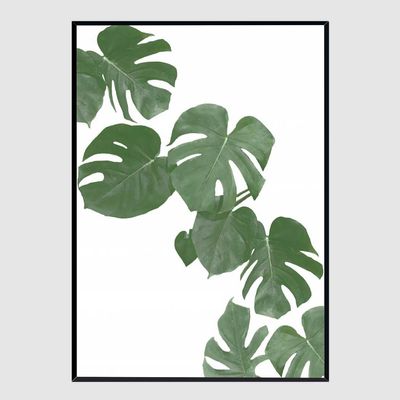사무실액자 Monstera Aqua 02 A3사이즈(WFG3UXJ)