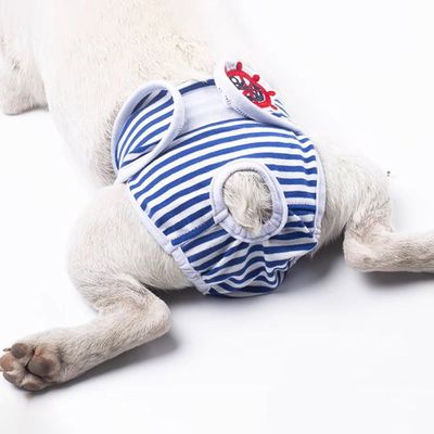 강아지 찍찍이 생리팬티 위생팬티 기저귀 팬티 암컷 M(WFHXK64)