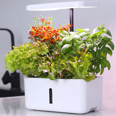 실내 LED 수경재배기 식물키우기 스마트팜 채소 H227