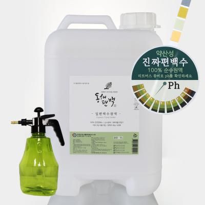 동해편백 피톤치드 새집증후군 탈 잎편백수 원액 10L