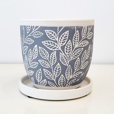 Carnic japan 나뭇잎 도자기화분(블루)