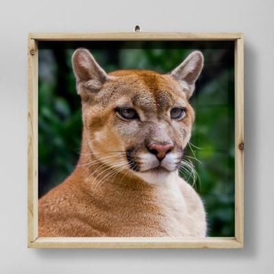 tg872-우드프레임액자_동물의프로필사진(중형)