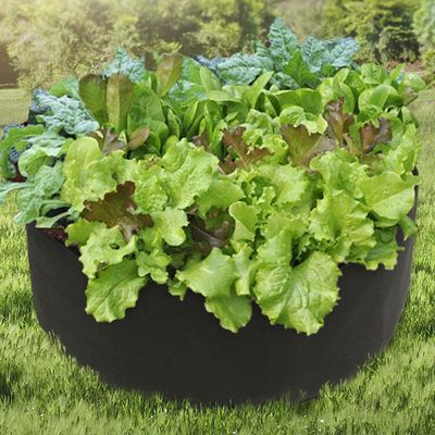 부직포 화분 상추 베란다 텃밭 가드닝(WFLOSKY)