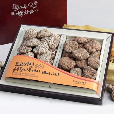 [무농약 경성표고버섯] 참나무박차고 흑/백화고 선물
