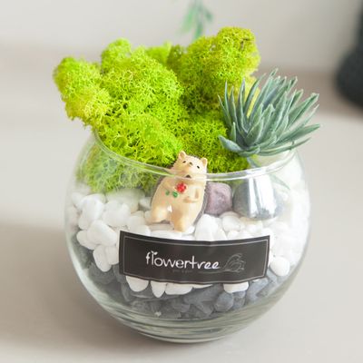 스칸디아모스 공기정화 화병 자갈글라스 set 11cm DIY