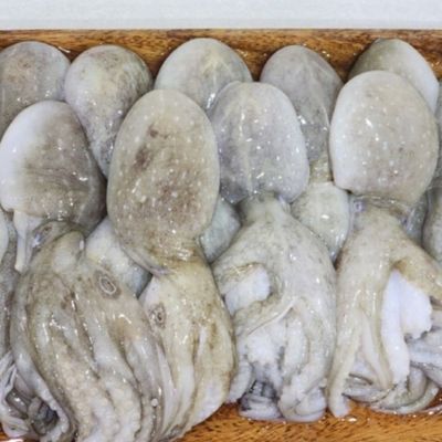 혜명몰 제철 냉동 쭈꾸미 2kg 쭈꾸미철 냉동주꾸미 주꾸미 쭈꾸미요리 대용량쭈꾸미(WFPB9C6)