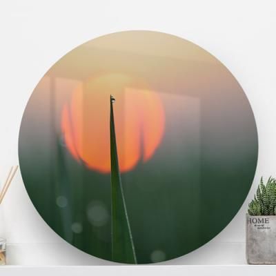 tg416-원형아크릴액자_이슬맺힌새벽풀