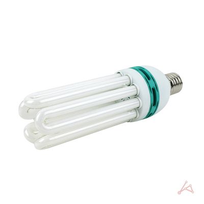 CH 장수 고와트 75W-D(E39)(WC67ECB)