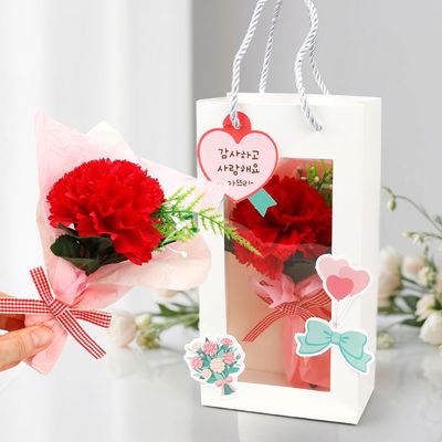 [미술샘] DIY 카네이션 꽃다발 투명 쇼핑백