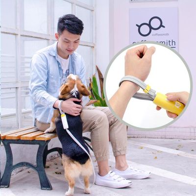 츄펫 핸들러 애견 강아지 리드줄 강아지줄 개줄