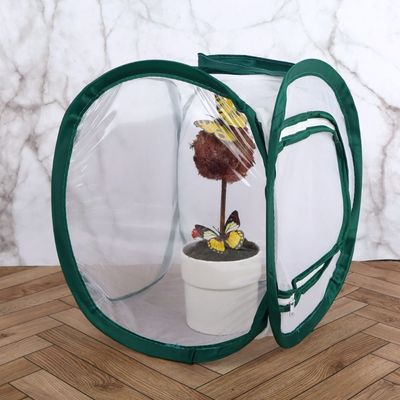 나비 채집망 소형 곤충 사육 채집통 어린이 생태 교육용 관찰 채집도구(WFP98PI)