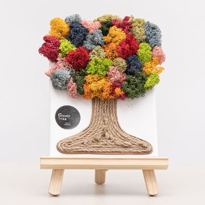 스칸디아모스 공기정화식물 액자 무지개 트리set 29cm