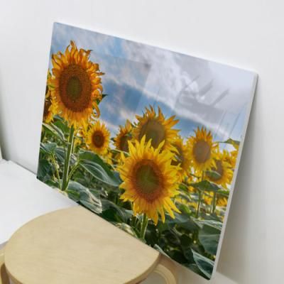 tl292-폼아크릴액자78CmX56Cm_해바라기꽃필무렵