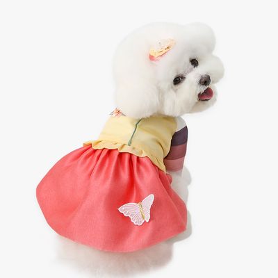 다민 아기씨 한복