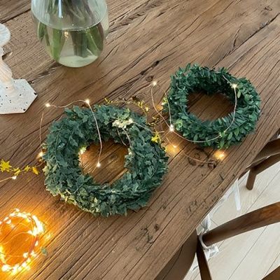 Leaf Wire 잎와이어