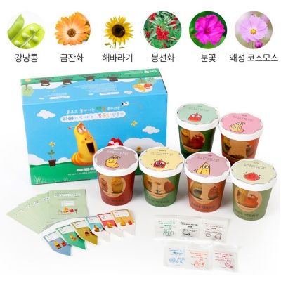 학습용 관찰용 식물키우기 텃밭키우기 6종세트