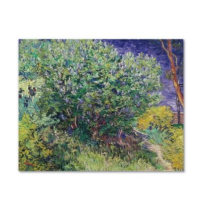 고흐 - 라일락 덤불 Lilac Bush, 캔버스 액자