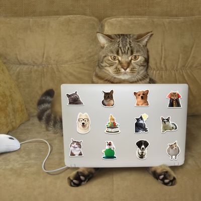 고양이 스티커 100P 밈 다꾸 폰꾸 폰 다이어리 꾸미기