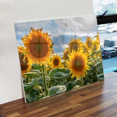 tl303-폼아크릴액자58CmX38Cm_해바라기꽃필무렵