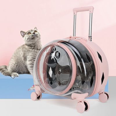 애견용품 마이펫 투명 캐리어 이동가방07