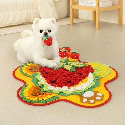 딸기밭 플라워 강아지 노즈워크 장난감 LDG-NW02S