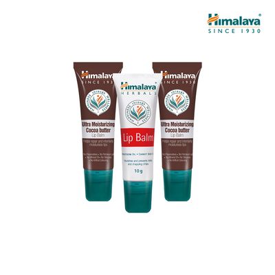 히말라야 비건 립밤 10g+코코아 립밤 10g x2