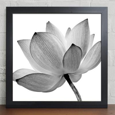 cu295-순결한흑백연꽃_인테리어액자