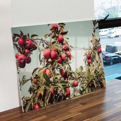 cl705-폼아크릴액자58CmX38Cm_풍수를부르는사과나무