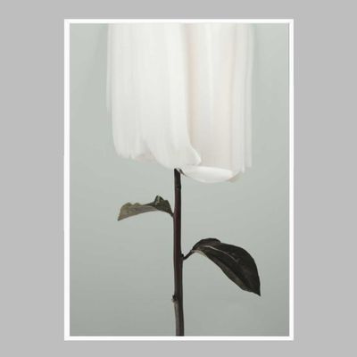 꽃 인테리어액자 flower No3 A2사이즈(WFFW072)