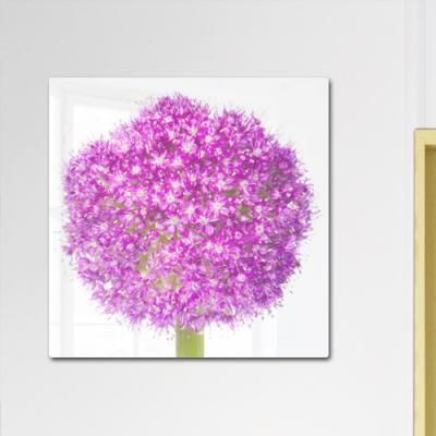 id880-폼아크릴액자56CmX56Cm_몽글몽글알리움