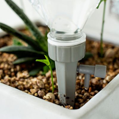 식물 화분 관리 자동급수기 (12개)