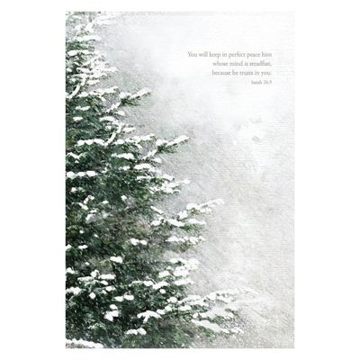 일러스트 말씀엽서 - 눈꽃나무