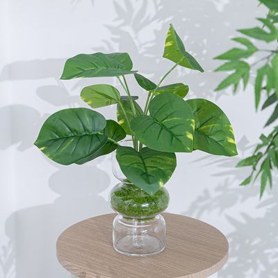 몬스테라 스킨답서스 조화 화병 플랜트 set 38cm DIY