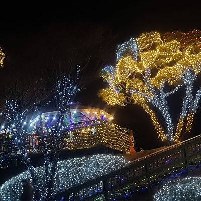 크리스마스 트리 무뚜기전구 LED 60px5 검정선 24V